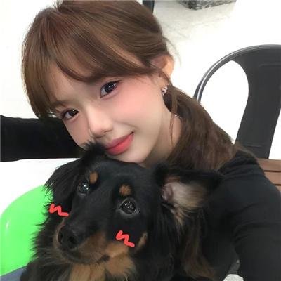 爱犬情深封面