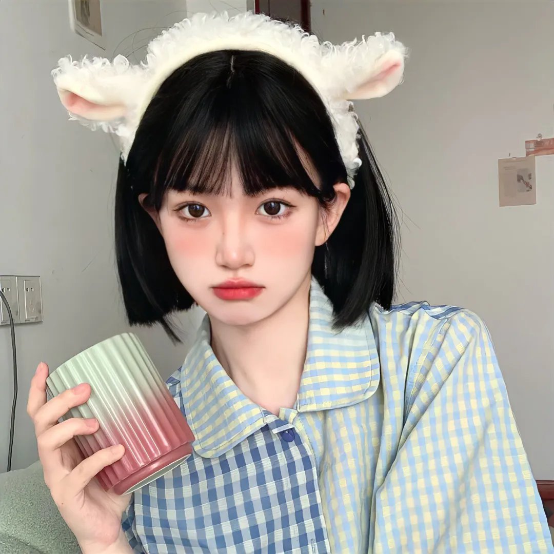 厕所的圣母像封面